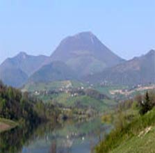 Vicino