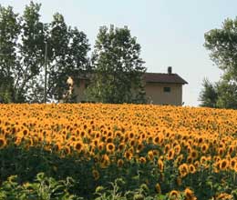 Holiday Apartment in Le Marche - Accomodation Le Marche